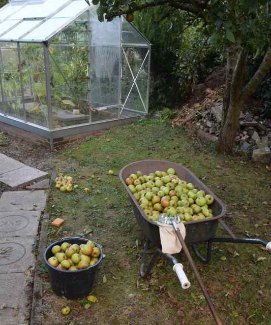 appelen